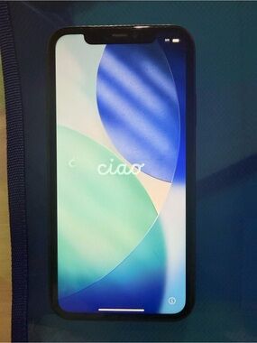 Black Apple IPhone 11